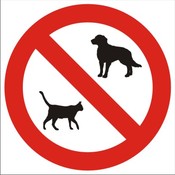 Zákaz vstupu psůma kočkám2